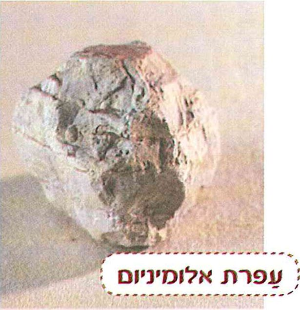 (בספר תמונות)
